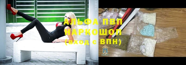 гашик Алексин