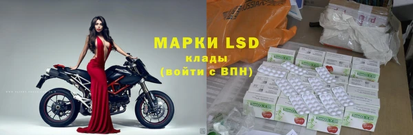 гашик Алексин