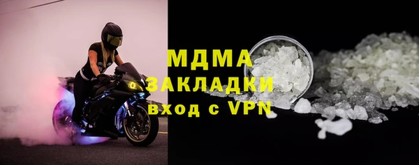 гашик Алексин