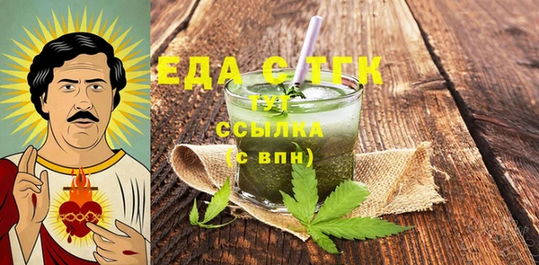 гашик Алексин