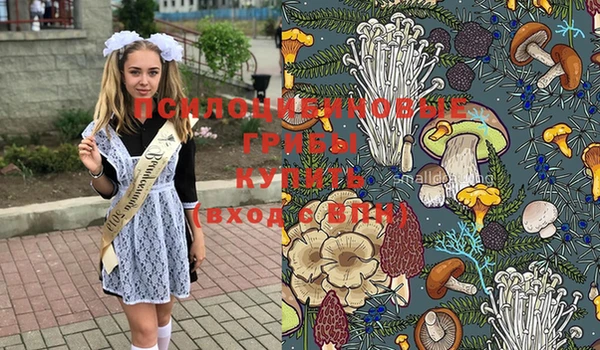 бутират Алексеевка