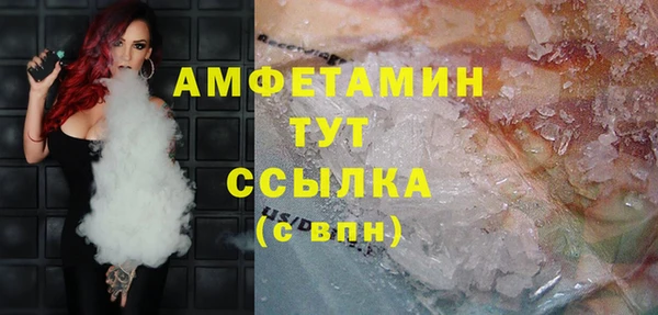 гашик Алексин