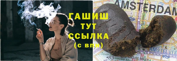 гашик Алексин
